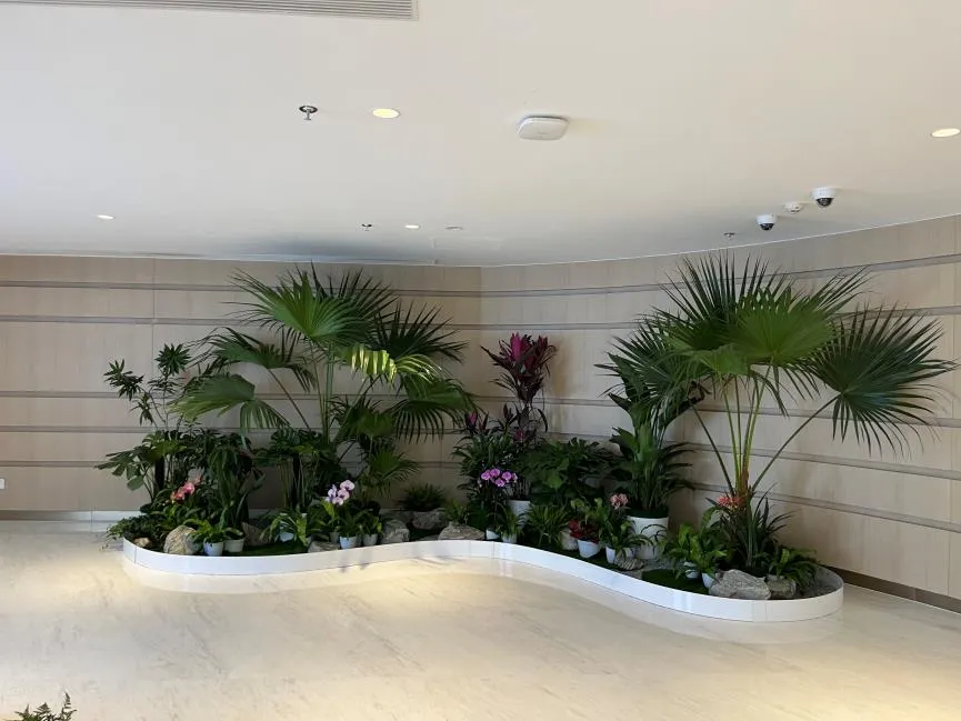 宁波前湾花木出租超专业，为您打造独特绿色空间